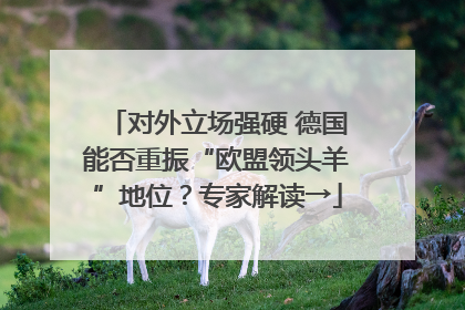 对外立场强硬 德国能否重振“欧盟领头羊”地位？专家解读→