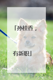 孙桂香，有新职