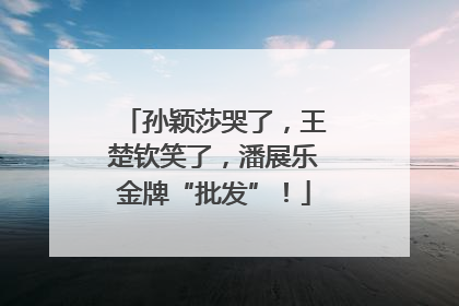 孙颖莎哭了，王楚钦笑了，潘展乐金牌“批发”！