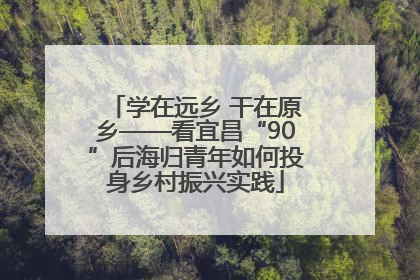 学在远乡 干在原乡——看宜昌“90”后海归青年如何投身乡村振兴实践