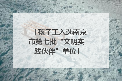 孩子王入选南京市第七批“文明实践伙伴”单位