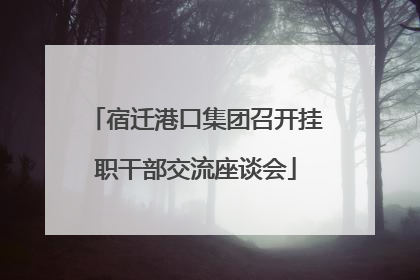 宿迁港口集团召开挂职干部交流座谈会