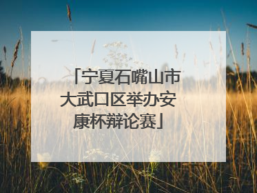 宁夏石嘴山市大武口区举办安康杯辩论赛