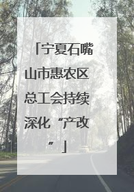宁夏石嘴山市惠农区总工会持续深化“产改”