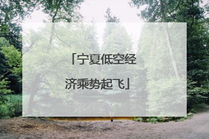 宁夏低空经济乘势起飞