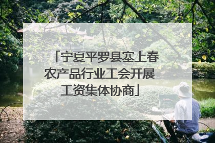 宁夏平罗县塞上春农产品行业工会开展工资集体协商