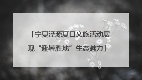 宁夏泾源夏日文旅活动展现“避暑胜地”生态魅力