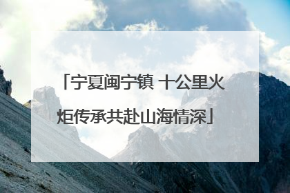 宁夏闽宁镇 十公里火炬传承共赴山海情深