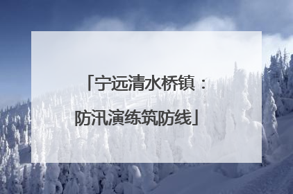 宁远清水桥镇：防汛演练筑防线