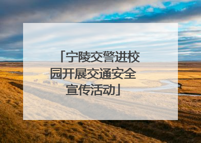 宁陵交警进校园开展交通安全宣传活动