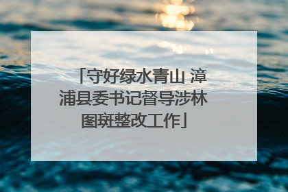 守好绿水青山 漳浦县委书记督导涉林图斑整改工作