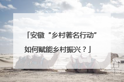 安徽“乡村著名行动”如何赋能乡村振兴？