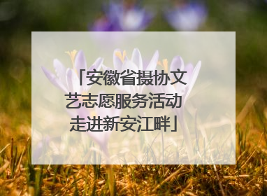 安徽省摄协文艺志愿服务活动走进新安江畔