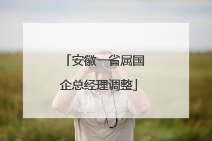 安徽一省属国企总经理调整