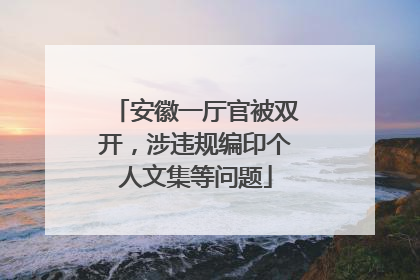 安徽一厅官被双开，涉违规编印个人文集等问题
