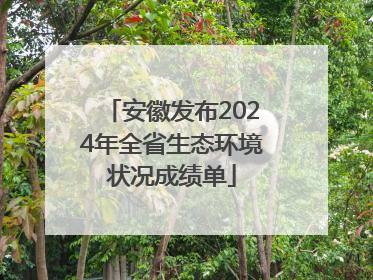 安徽发布2024年全省生态环境状况成绩单