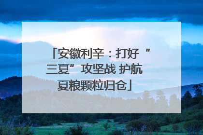 安徽利辛：打好“三夏”攻坚战 护航夏粮颗粒归仓