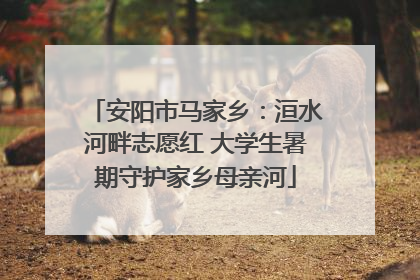 安阳市马家乡：洹水河畔志愿红 大学生暑期守护家乡母亲河
