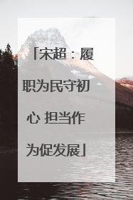 宋超：履职为民守初心 担当作为促发展