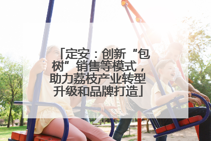 定安：创新“包树”销售等模式，助力荔枝产业转型升级和品牌打造