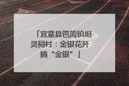 宜章县笆篱镇坦灵祠村：金银花开摘“金银”