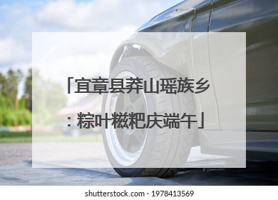 宜章县莽山瑶族乡：粽叶糍粑庆端午