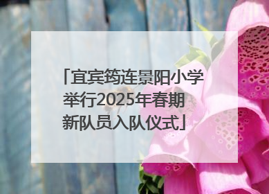 宜宾筠连景阳小学举行2025年春期新队员入队仪式