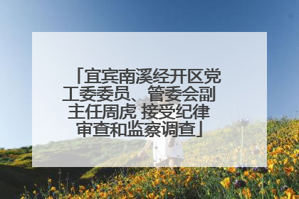 宜宾南溪经开区党工委委员、管委会副主任周虎 接受纪律审查和监察调查