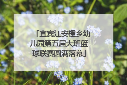 宜宾江安橙乡幼儿园第五届大班篮球联赛圆满落幕