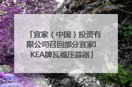 宜家（中国）投资有限公司召回部分宜家IKEA牌瓦福压蒜器