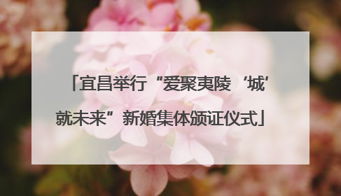 宜昌举行“爱聚夷陵‘城’就未来”新婚集体颁证仪式