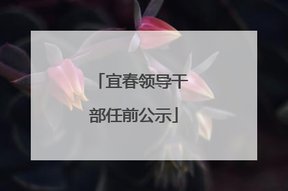 宜春领导干部任前公示