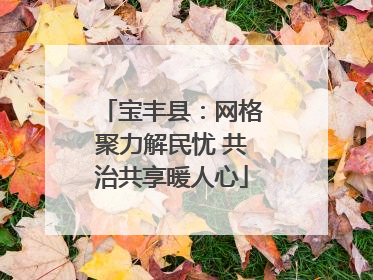 宝丰县：网格聚力解民忧 共治共享暖人心