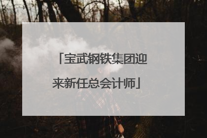 宝武钢铁集团迎来新任总会计师