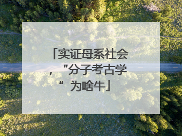 实证母系社会，“分子考古学”为啥牛