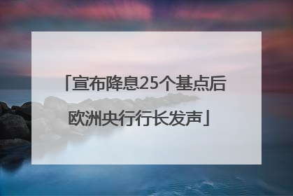 宣布降息25个基点后 欧洲央行行长发声