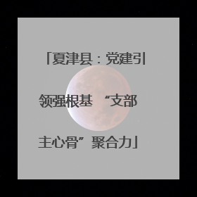 夏津县：党建引领强根基 “支部主心骨”聚合力
