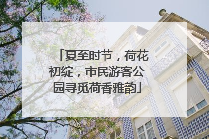 夏至时节，荷花初绽，市民游客公园寻觅荷香雅韵
