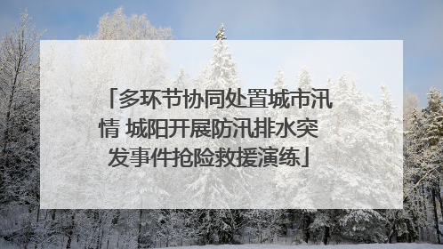 多环节协同处置城市汛情 城阳开展防汛排水突发事件抢险救援演练