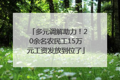 多元调解助力！20余名农民工15万元工资发放到位了