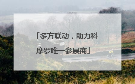 多方联动，助力科摩罗唯一参展商