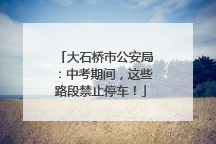 大石桥市公安局：中考期间，这些路段禁止停车！