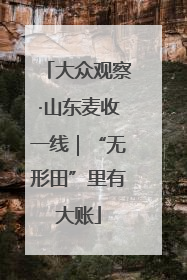 大众观察·山东麦收一线｜“无形田”里有大账
