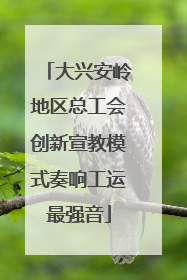 大兴安岭地区总工会创新宣教模式奏响工运最强音