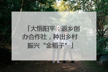 大悟阳平：返乡创办合作社，种出乡村振兴“金稻子”