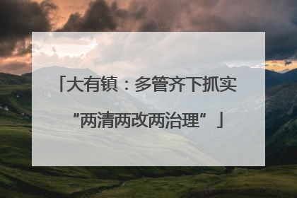 大有镇：多管齐下抓实“两清两改两治理”
