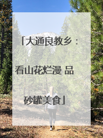 大通良教乡：看山花烂漫 品砂罐美食