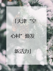 天津“空心村”焕发新活力