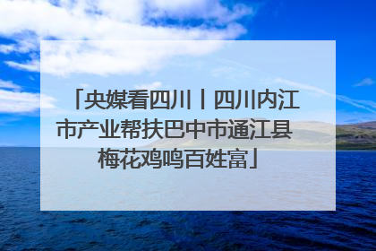 央媒看四川丨四川内江市产业帮扶巴中市通江县 梅花鸡鸣百姓富