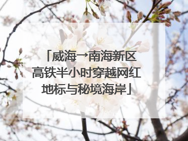 威海→南海新区 高铁半小时穿越网红地标与秘境海岸